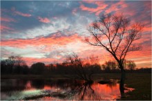 Fire autumn dawn / ***