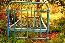 still fall / ***