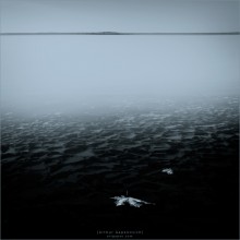 [ Breath Deep Water ] / ...NO COMMENTS
