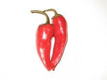 chili pepper / ...........
