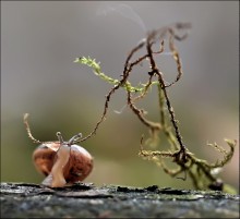 Stark im Geiste ... / ***