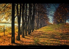 Autumn / ***