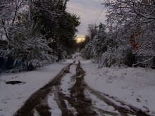 Der erste Schnee / ***