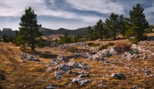 Ai-Petri plateau / ***