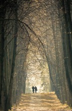 Cold autumn ... together ... / ******