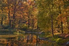 der Geist des Herbstes / ------------