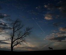 ... Am Abend ... / ***