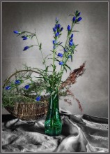 Forest flowers. / * * *