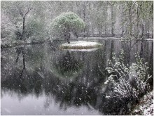 Snowing / ***
