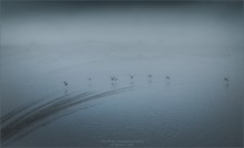 [ Breath Deep Water ] *Part III / ***