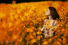 Dream of red... / ***