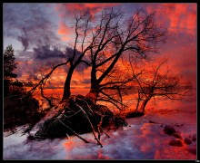 Riot of colors. / ***