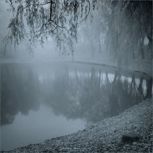 [ Ending of Autumn ] / ... Very soon winter will go snow, and then New Year:)