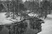 Bridge / ***