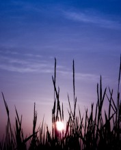 Dawn / ***