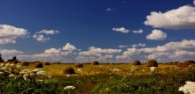 Haymaking / -----