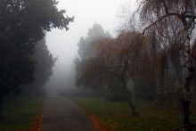 Autumn Polonaise # 5 / ***