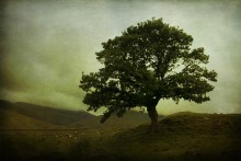 Snowdonia / .....