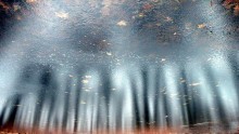 immersion in a winter world / ***