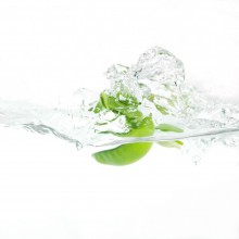 Green:) / *******