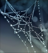 Celestial story ... / ***