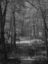 abandoned park in autumn / ***