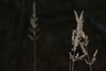 you're (not) alone / *****
