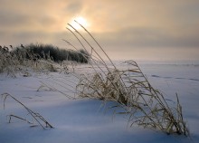 Cold morning / ***