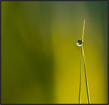 Vorschaubild 9 / ***