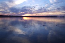 ice / ,,,,,,,,,,,,,,,,,,