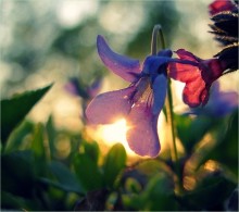... Catch your warmth .. and hide in the heart .. .. / ***