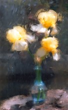 Irises / ***