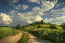 The road in summer / 8888888