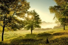 Sonnigen Oktobertag / ***