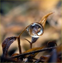 Fast eine ... / ***