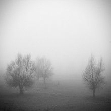 White Silence / ..............