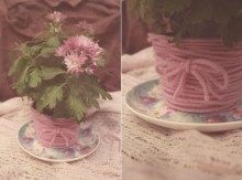 Saucers / ***