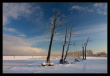 Walk on ice / ***