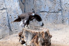 Zum ersten Mal in der ersten Klasse / ***