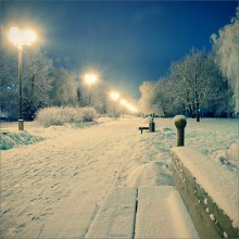 [... Night] / ***