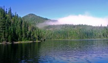Lake in the woods / .....