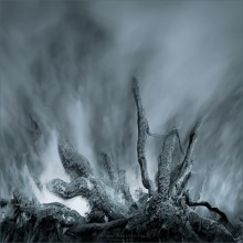 [ K r a k e n ] / ...about photo:
http://en.wikipedia.org/wiki/Kraken