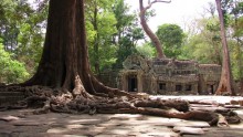 The temple of Ta Prohm / ***