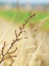 In the grass / ***