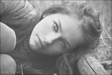 Wild / ***