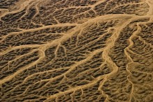 Desert - 2 / ***