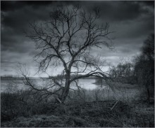 "At the end of the earth ..." / .....