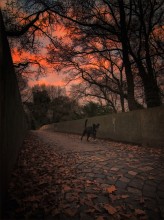 In the fall ... / ***