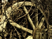 Just wheel / ***