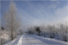 Winter / *****